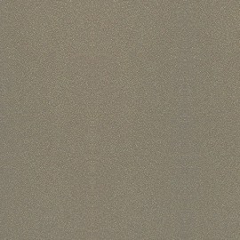 Стеновые панели Кедр 4.1 метра (5 категория) - Цвет: G014/1 Галактика Шампань