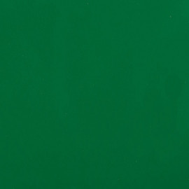 Столешница Троя Стандарт 9-я группа - цвет: 0570 luc Зеленый