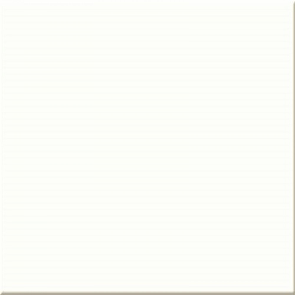 Стеновая панель Троя Стандарт 1-я группа - цвет: 1110/S Белый (длина 4.1м)